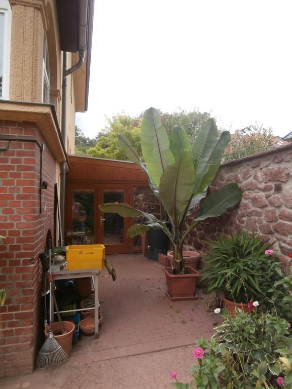 Ferienwohnung Saaleblick Halle  Exterior foto
